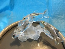 SWAROWSKI BANCO DI PESCI 7644