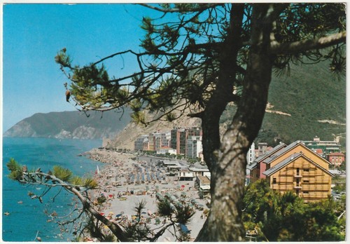 Deiva marina spezia - -,