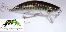 mustang minnow pesce