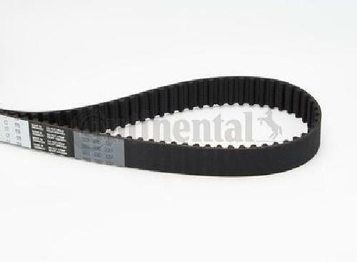 Cinghia distribuzione - cinghia,