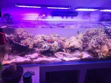 Acquario 400L