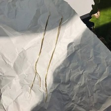 Orecchini pendenti catena