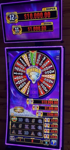 Everi super buffalo - everi, software