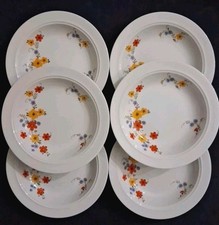 Piatti Fondi Porcellana Winterling Kirchenlamitz Bavaria Vintage Con Fiori