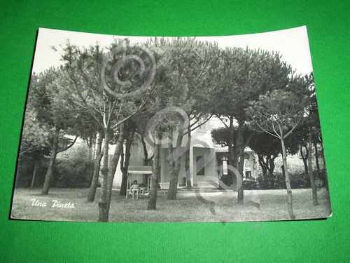 Cartolina forte dei marmi - cartolina,