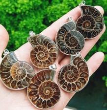 Ciondolo fossile ammonite naturale 10 pezzi chakra reiki guarigione amuleto energia