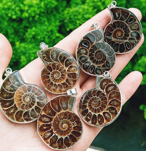 Ciondolo fossile ammonite
