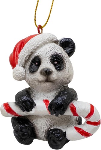 Panda orso che tiene - , di