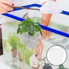  Vasca Acquario Pianta