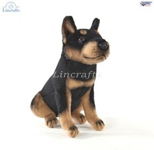 Doberman tea cup - in, a