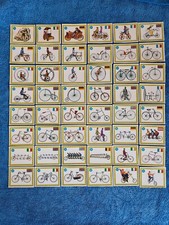 La Bici-story Panini Tin Tin