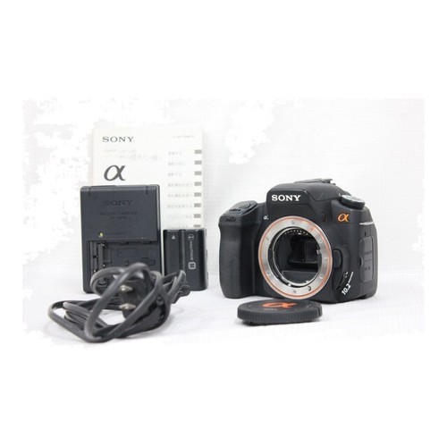 Exc testato corpo - [exc+5, /