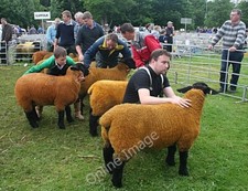Photo 6x4 turriff - 6x4, 2010