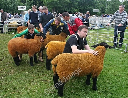 Photo 6x4 turriff show 2010 - turriff,