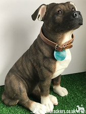 Xtra large 26cm Brown Staffy
