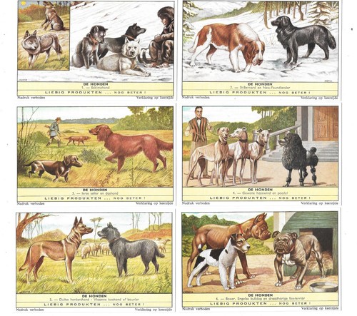 Liebig trade cards razze di - cards,,