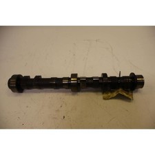 ALBERO A CAMME ASPIRAZIONE