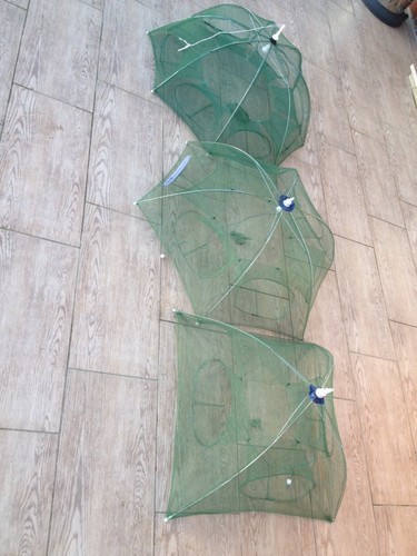Lusso esca pesce