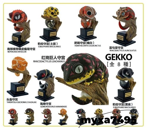 Gecko models collezione - gecko,