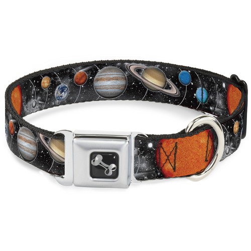 Dog collar bone solar system - dog,