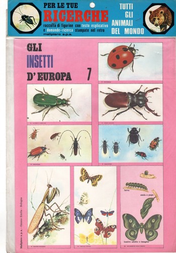Set figurine blister animali - blister,