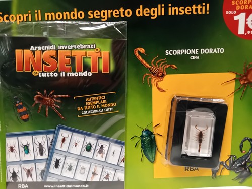 Scorpione dorato cina - dorato,
