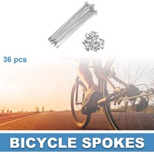 Raggi Bici Bicicletta 14G