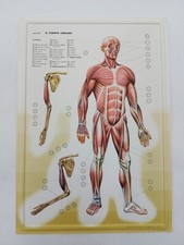 Nova Rico Florence Tavola 3D