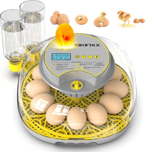 Incubadora huevos con - de, 12