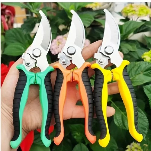 Professional bypass pruning - professional,