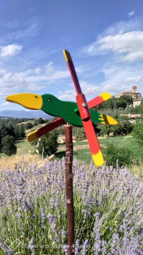 Segnavento animato tucano - animato-,
