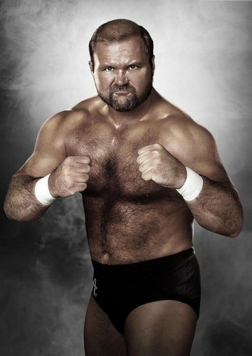 Wrestling legends arn - -,