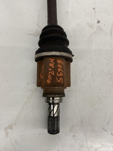 39101bj00a albero - albero, di