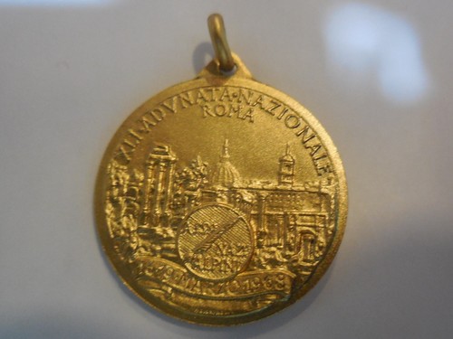Medaglia dorata adunata alpini