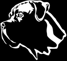 Adesivo CANE CORSO - adesivo