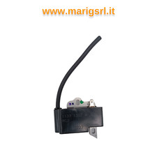 Modulo accensione bobina - modulo,