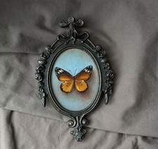 Farfalla - Dipinto olio in