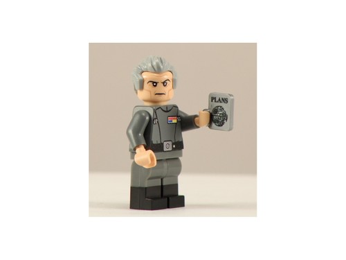 Minifig personalizzata grand - personalizzata,