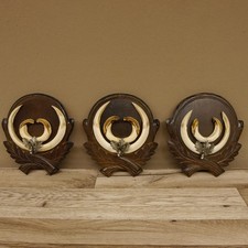 Zanne di Cinghiale 3 Er Set