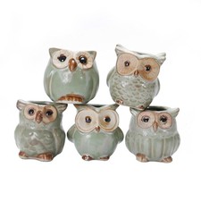  5 Pcs Vaso Piante Grasse