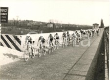 1958 CICLISMO MILANO-TORINO Fausto COPPI tira il gruppo *Foto 18x13 cm