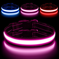 Collare LED Luminoso per Cani