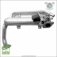 Scambiatore Valvola Egr