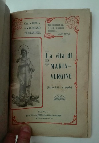 Vita maria vergine - maria,