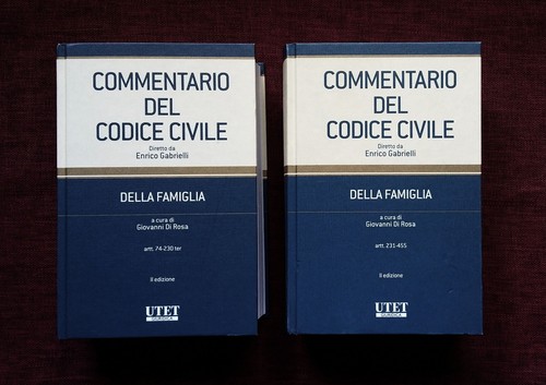 Commentario del codice - codice, civile