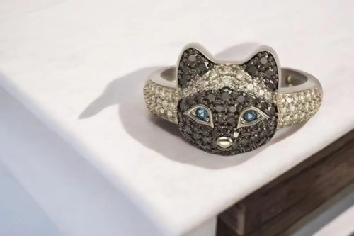 Anello fascia faccia - , gattino