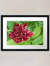 Stampa artistica con cornice