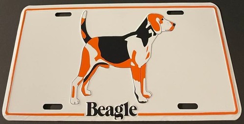 Targa alta beagle - beagle, booster