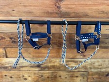 Cavezza Hobby Horse con lunghina e redini