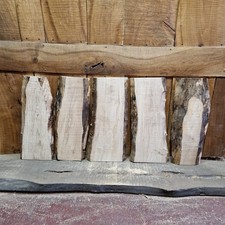 Ritagli di lastre di sicomoro
